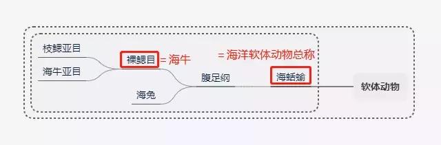 这只风靡网络的可爱“海中小白兔”，竟然颠覆了网友的三观