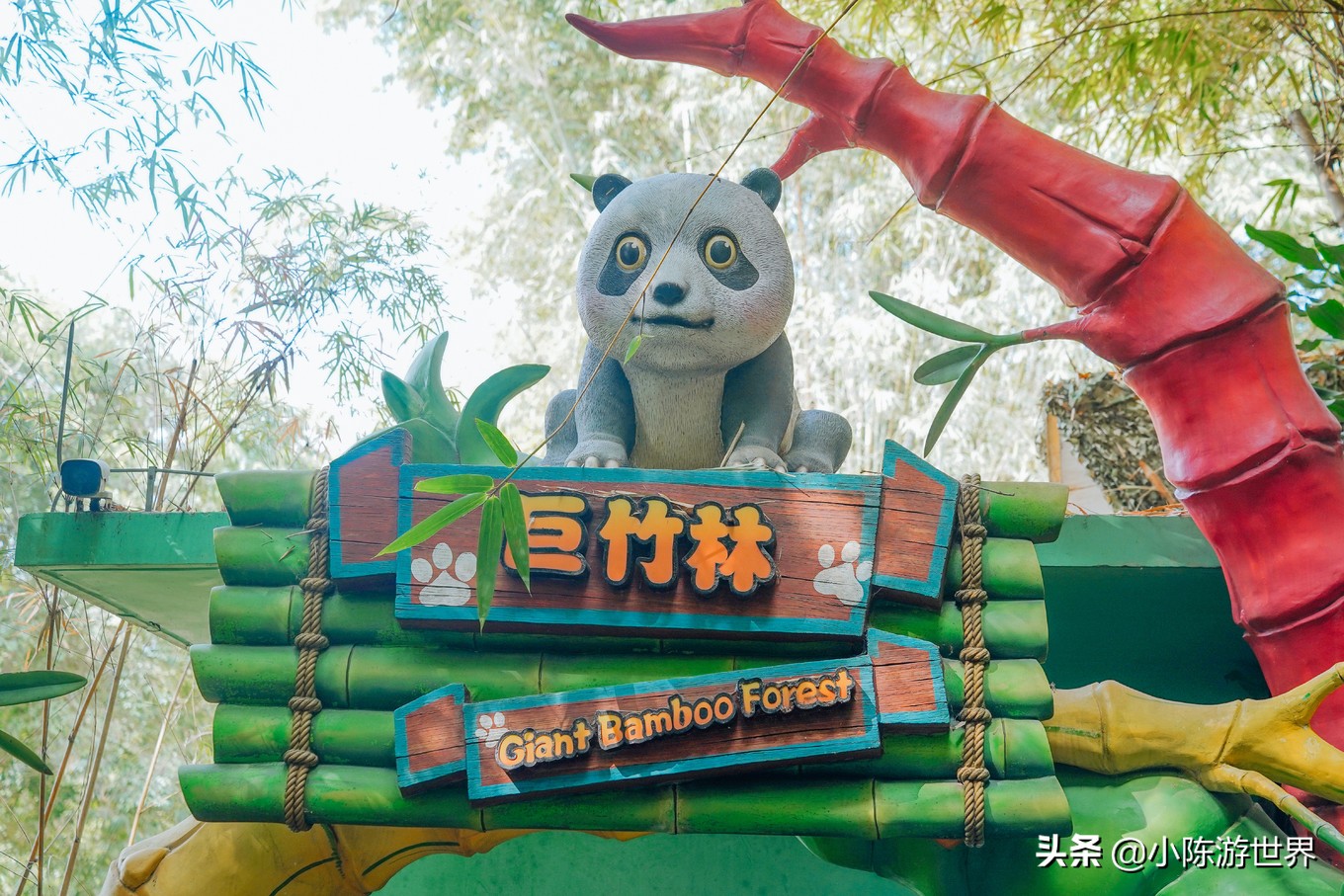 寒假广州长隆三天两夜亲子游攻略,带孩子广州长隆旅游攻略