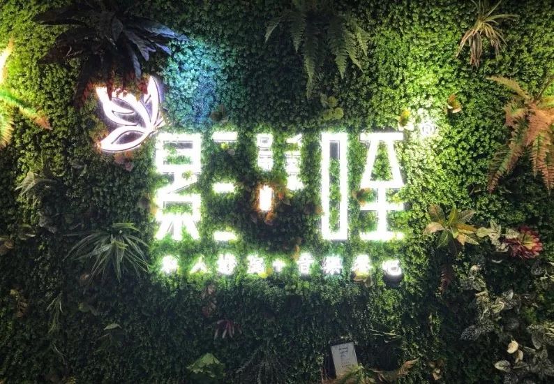 城南夜生活怎么样,城南夜晚生活视频