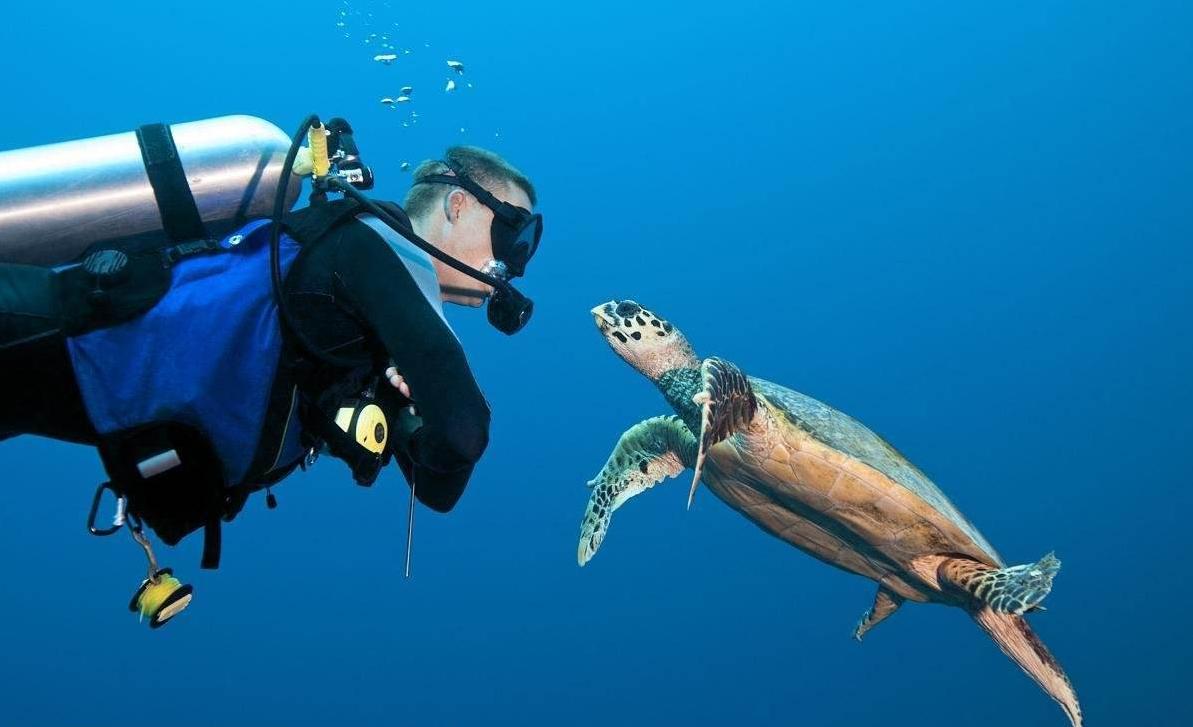 潜水面镜的正确使用方法,潜水戴哪种眼镜或面罩好