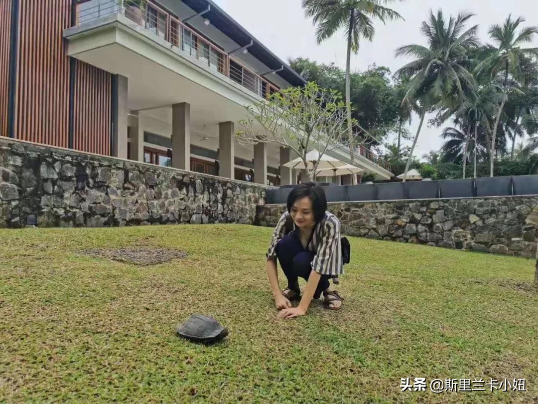 这座隐居别墅，上过设计杂志得过奖，是一位低调女主人的私宅