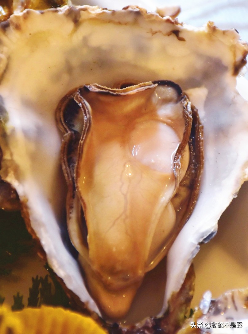 检验鱼最好的方法,怎样鉴别鱼是否是健康的