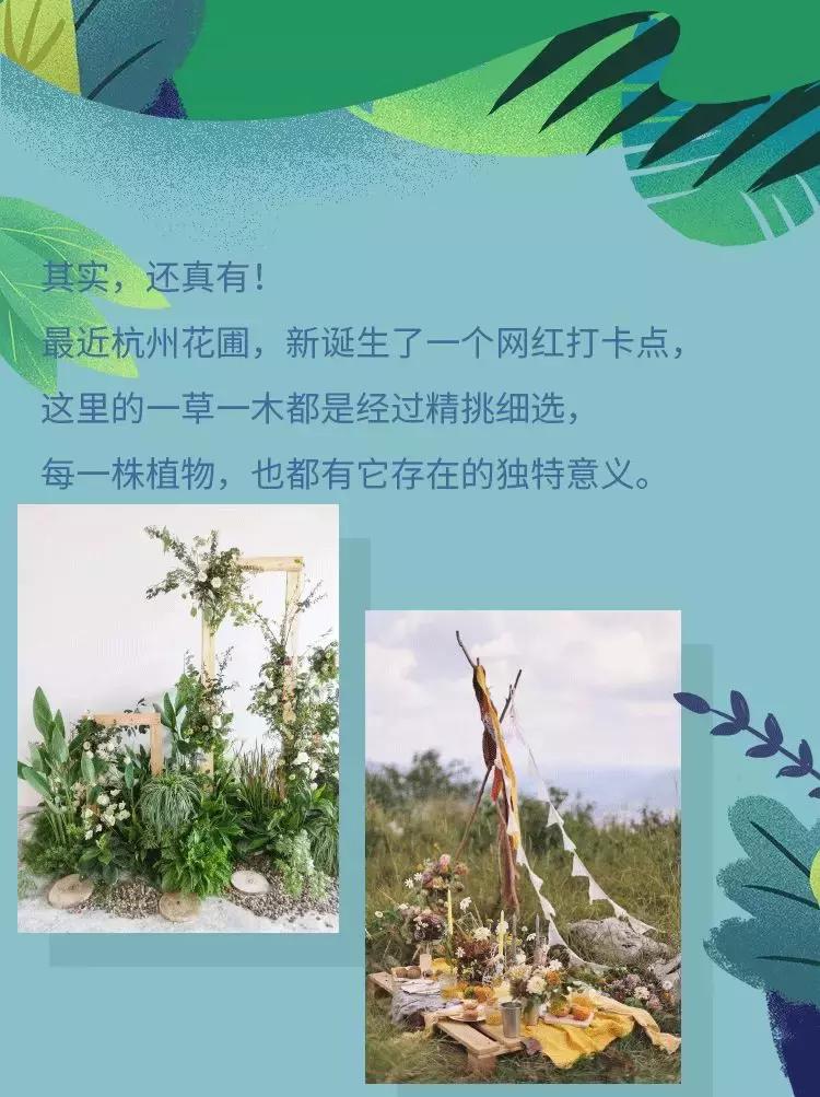 美到窒息！杭州这场园艺界的盛典，懂生活的人必须去！