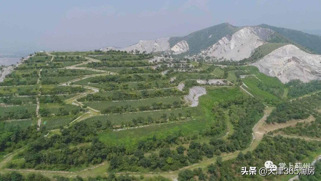 大手笔！中英合作旅游综合体开建，住宅规划公示，1448套洋房