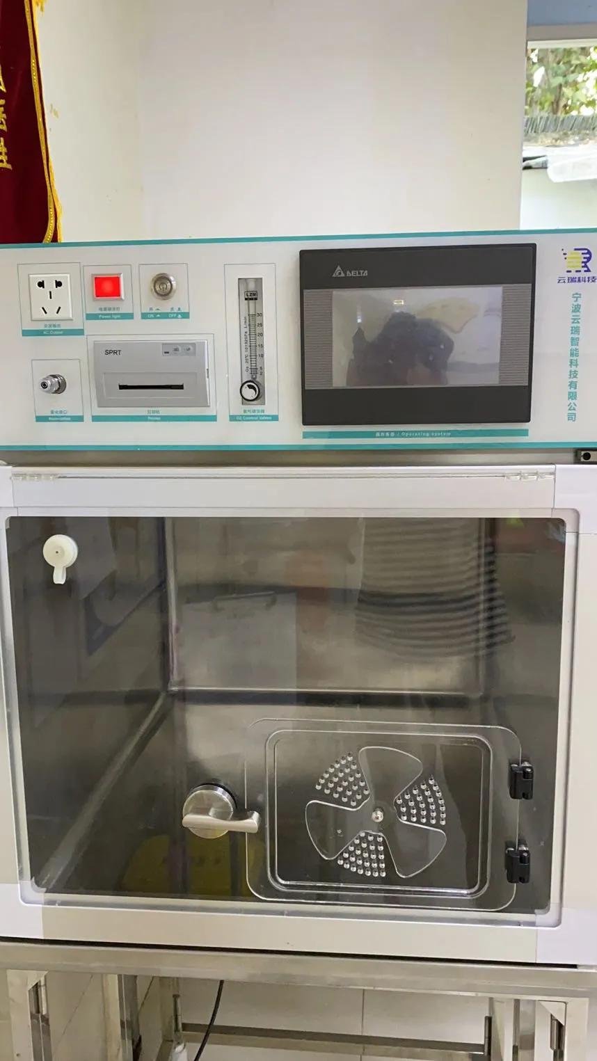 矮脚猫应激后腿无力怎么办,矮脚猫后腿多久能站起来