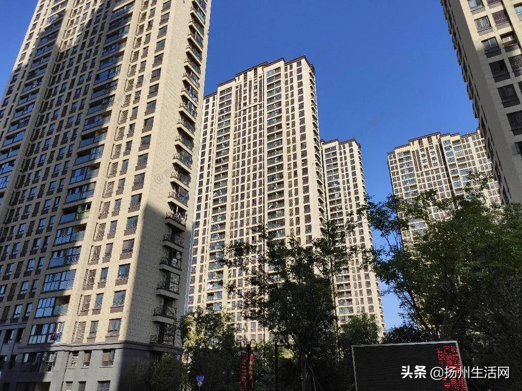 实探烂尾楼,实探被曝光