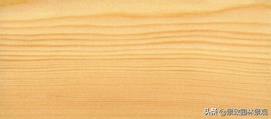 木纹最好看的木材图片,各种木材纹理图片与名称