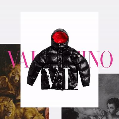 十大顶级羽绒moncler服排名,加拿大鹅好还是moncler好