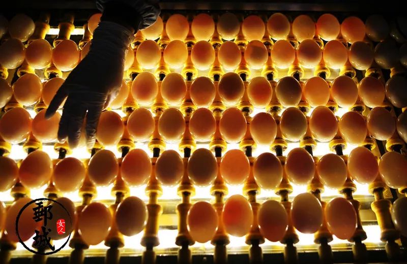 曾经沧海难为水，他乡咸鸭蛋，我实在瞧不上