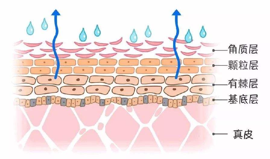 晒后起皮如何有效补水,晒伤干皮后如何修复
