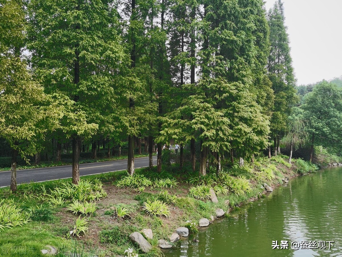 百强县排名宜兴有超过江阴的吗,宜兴百强县区排名