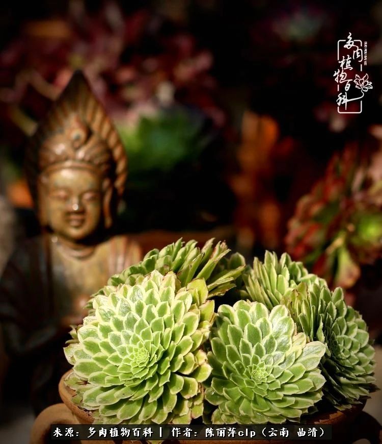 佛系看风景的地方,佛系风景空境视频