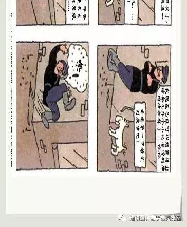 丁丁和丁丁历险记论文,丁丁历险记丁丁的服装