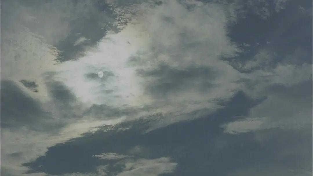 人生路上步履不停什么意思,人生路上为何我总是慢一拍