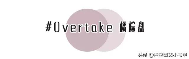 售卖假货引众怒,专柜售假