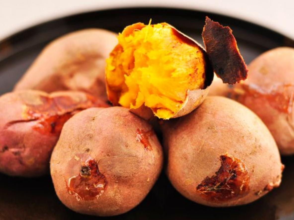 二十四节气白露寓意,二十四节气白露卡通