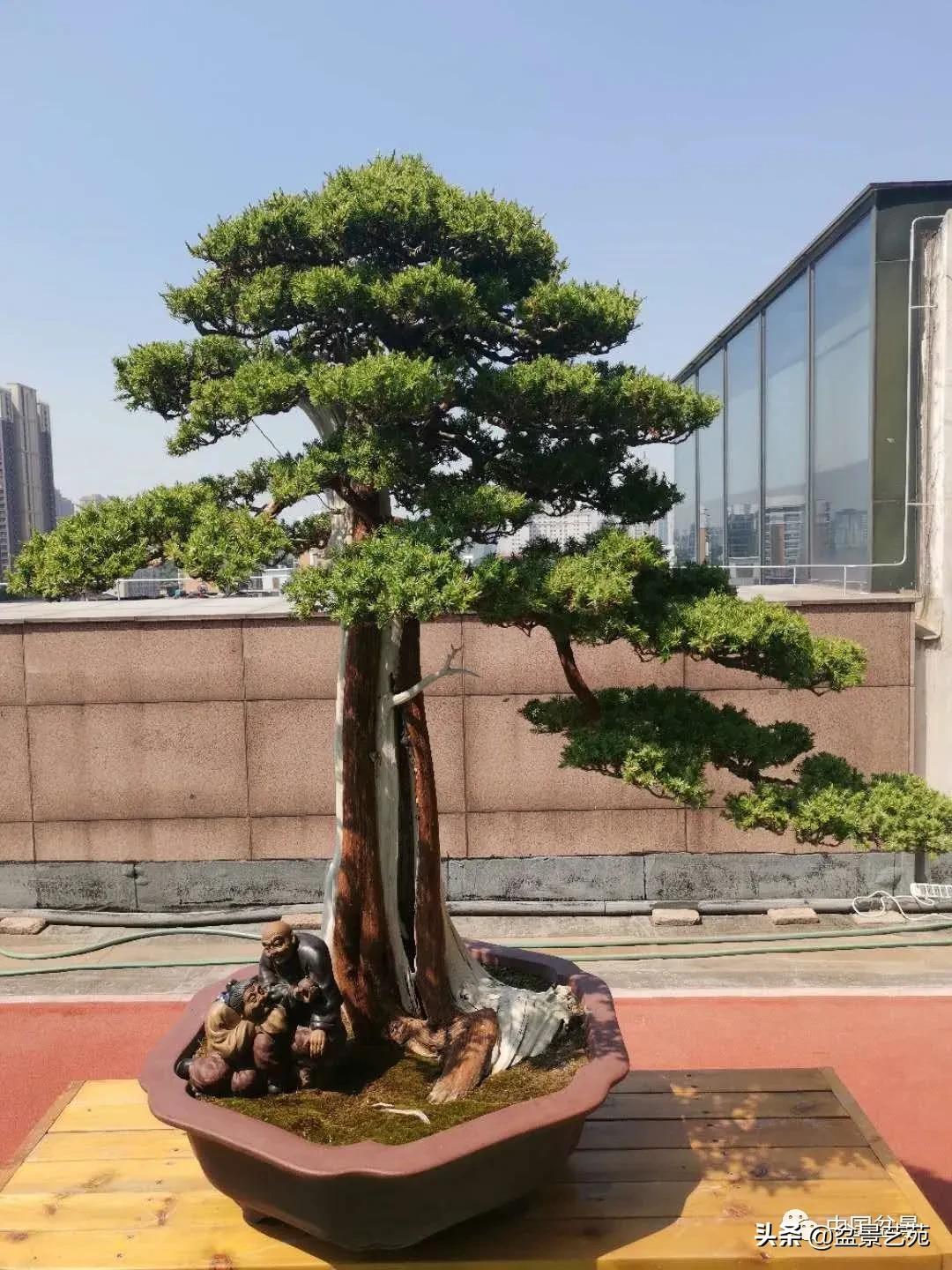 涓浗钁楀悕鐩嗘櫙澶у笀绮惧搧鐩嗘櫙,鐩嗘櫙鑹烘湳瀹跺拰鐩嗘櫙鑹烘湳澶у笀