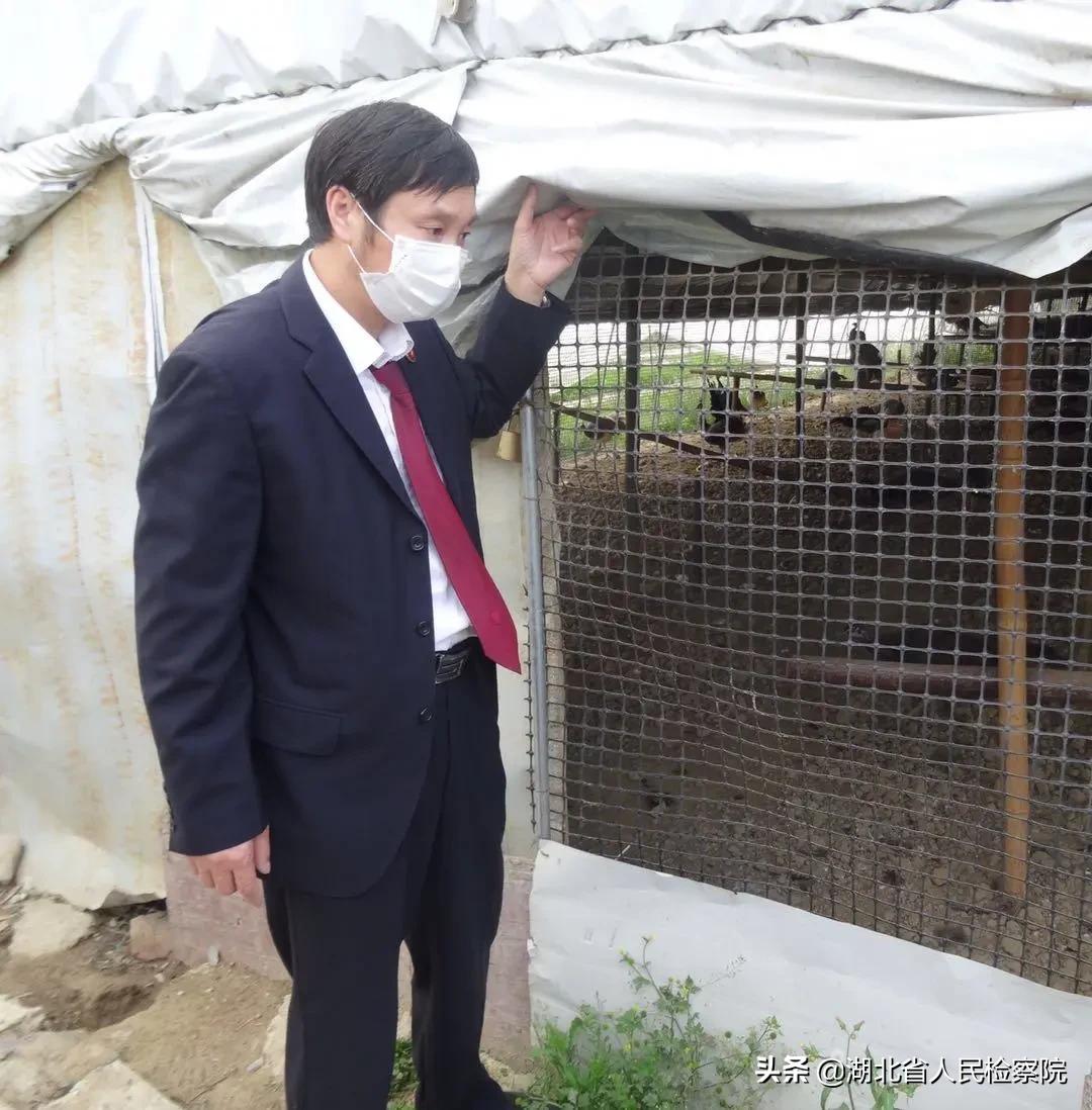 携手战疫，湖北公益诉讼检察人“勇”不缺席