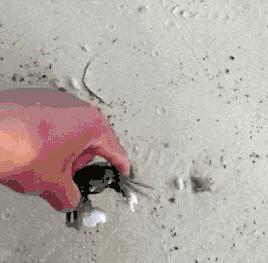 事实证明太瘦的女人容易出事,女朋友太瘦了是什么体验