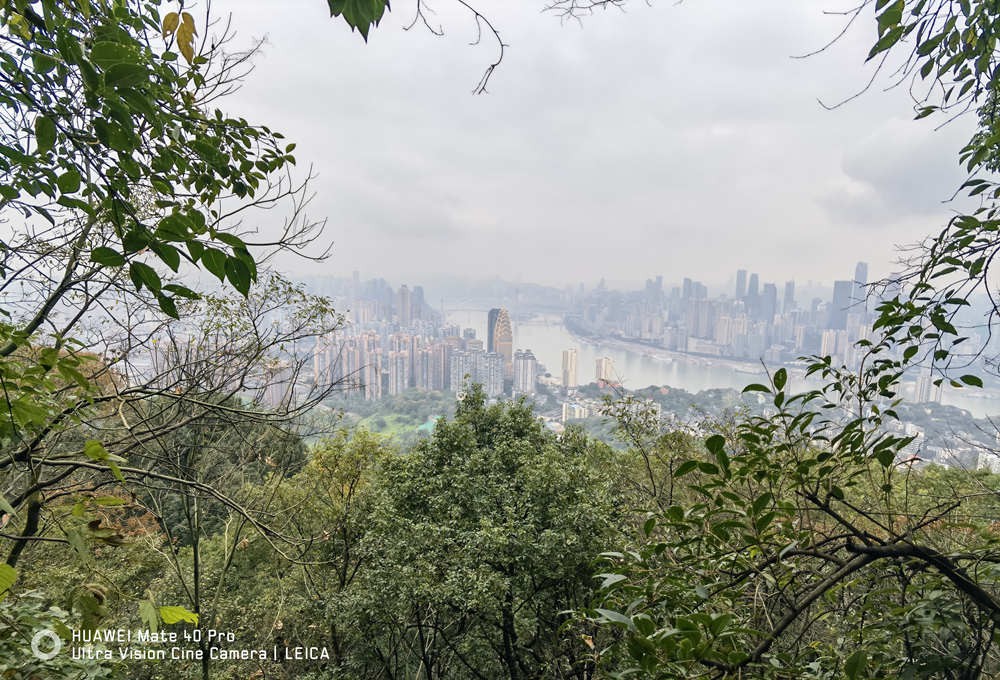 荣耀20prodxomark拍照排名,dxomark相机是什么