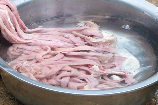 猪大肠怎么炒软脆,猪大肠怎么炒才好吃脆