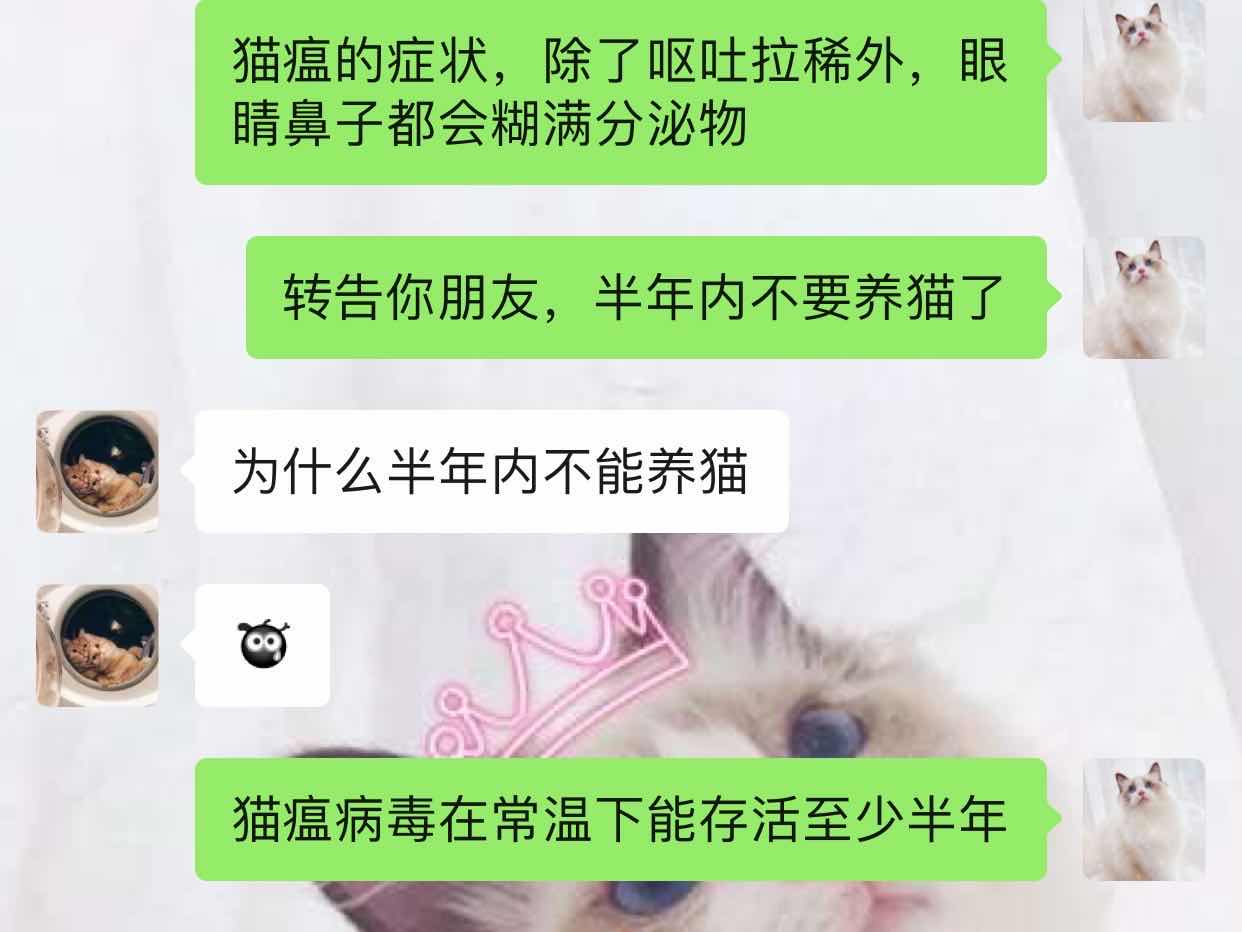 猫瘟导致眼睛变绿,谈猫色变