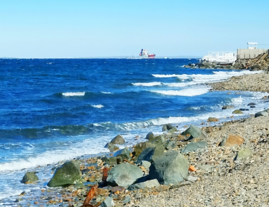 海参崴的现状：*锁封**40年禁止进入，资源匮乏却胜在物价很低