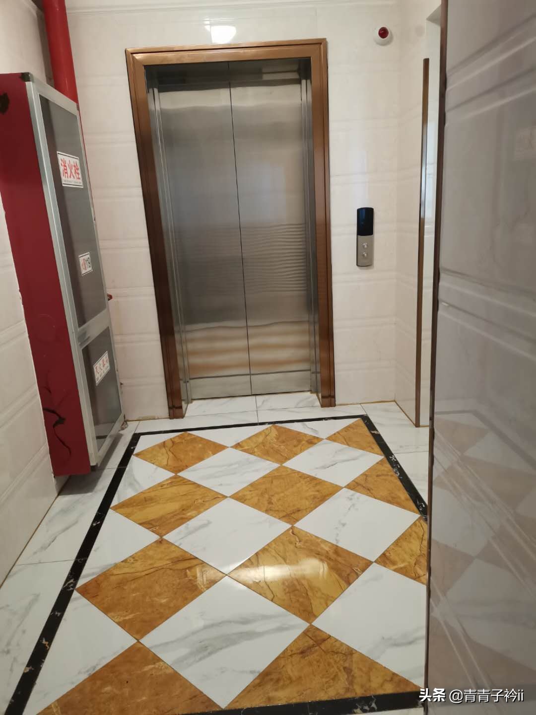 遇到奇葩邻居怎么办小说,遇到奇葩邻居