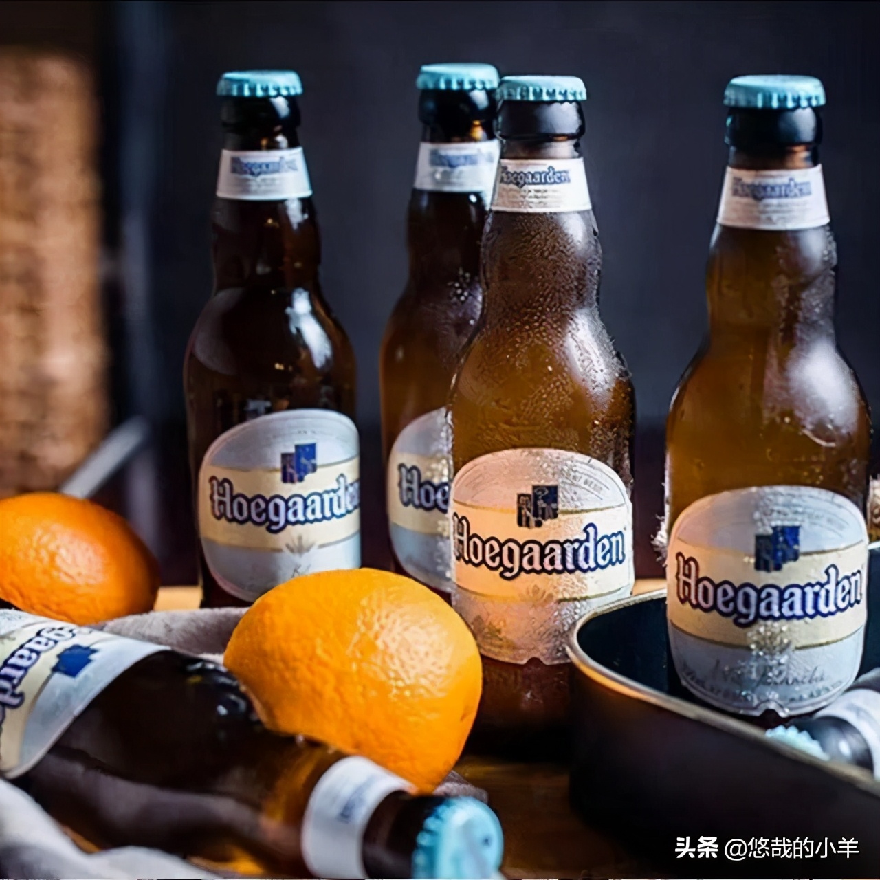 比利时白啤评测,比较常见的比利时白啤