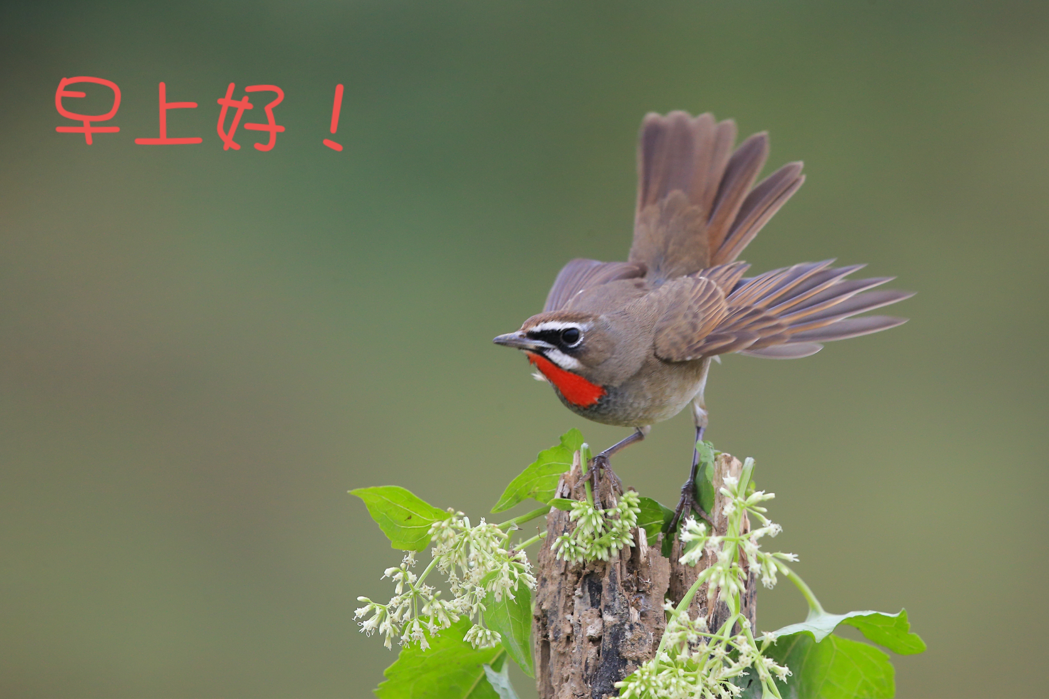 皮肤科专家误诊怎么办,皮肤科医生怎么样确诊疥疮