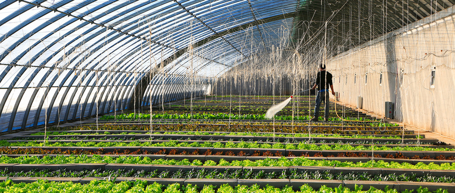 遇极端恶劣天气什么措施好,恶劣天气怎么管理施工
