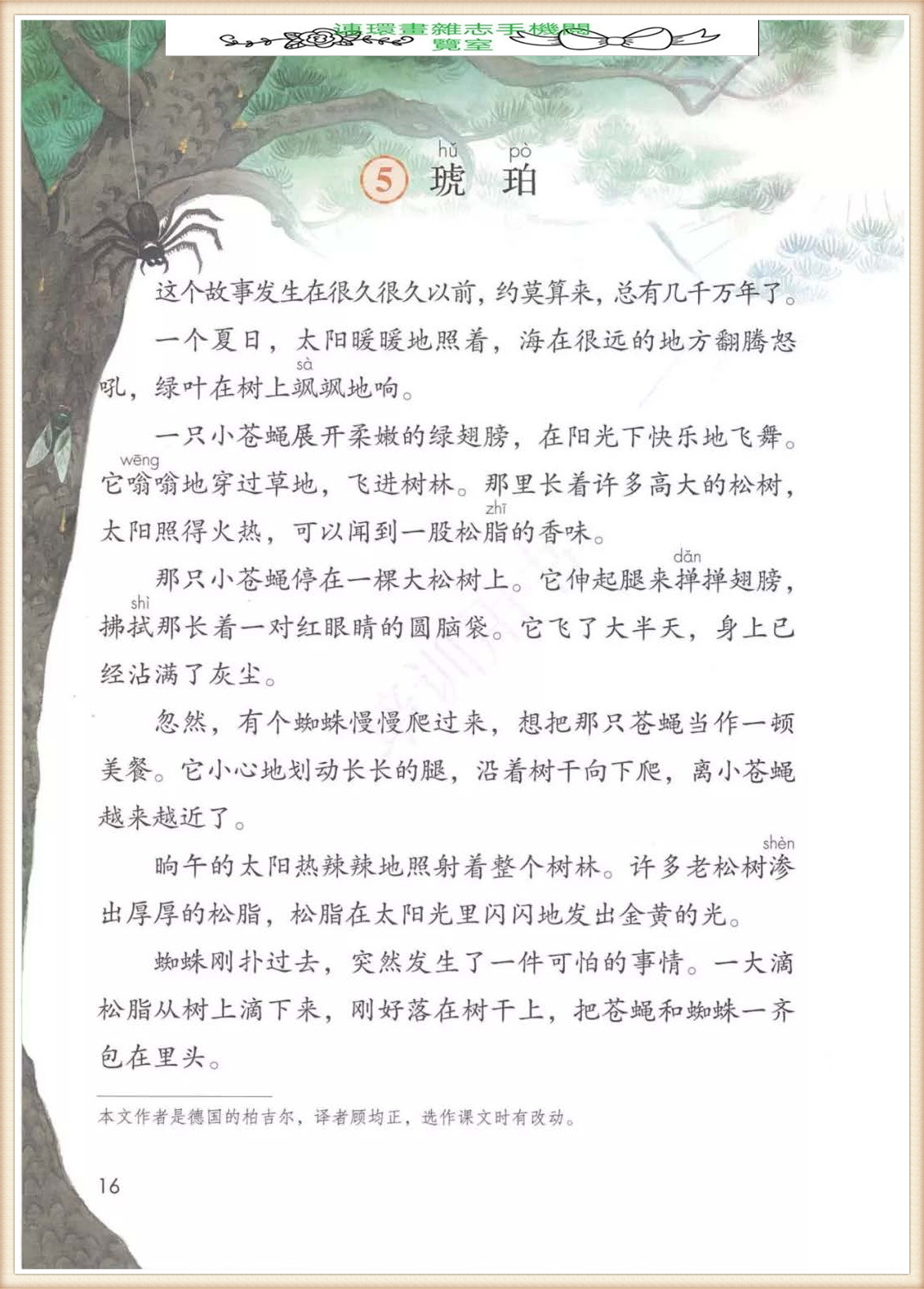 四年级下册语文作文,四年级下册语文第五单元作文写游