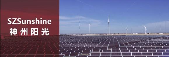 躺着赚钱向日葵,躺着赚钱真的有那么好吗