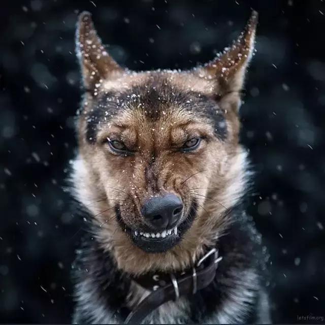 大家今年拍过最好看的照片,近期拍的最好看的照片