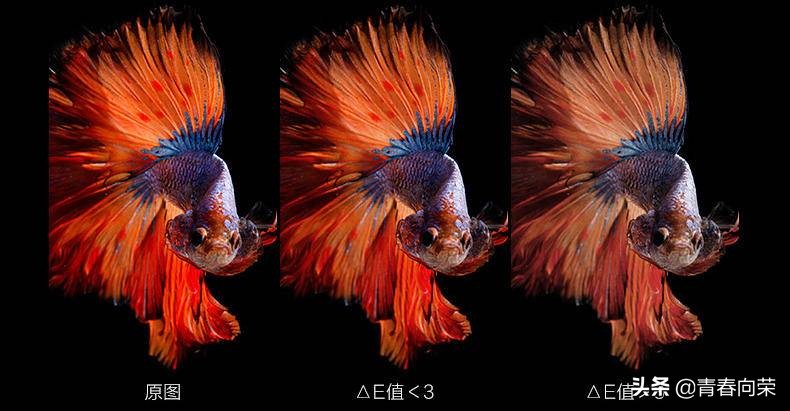 一般家用电脑显示器怎样选购,初学者如何选择电脑显示器