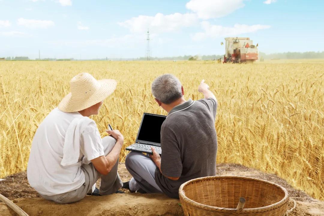 吃三分留三分还有三分留给人,吃三分之一喝三分之一