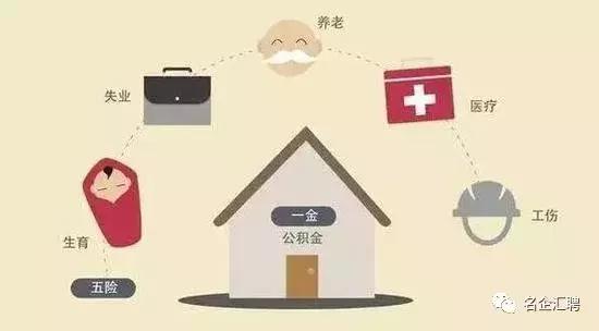 西安空港冷链物流招聘,西安空港冷链股份有限公司