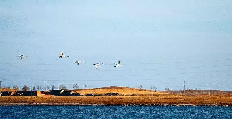 爱旅游的朋友注意了！天津周边藏着的10个草原，不玩一趟太亏