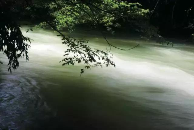 拍照模糊的方法是什么,拍照模糊如何去掉