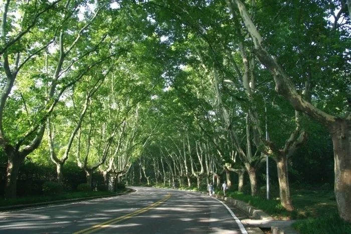 从未逃离,从未逃离过原生家庭