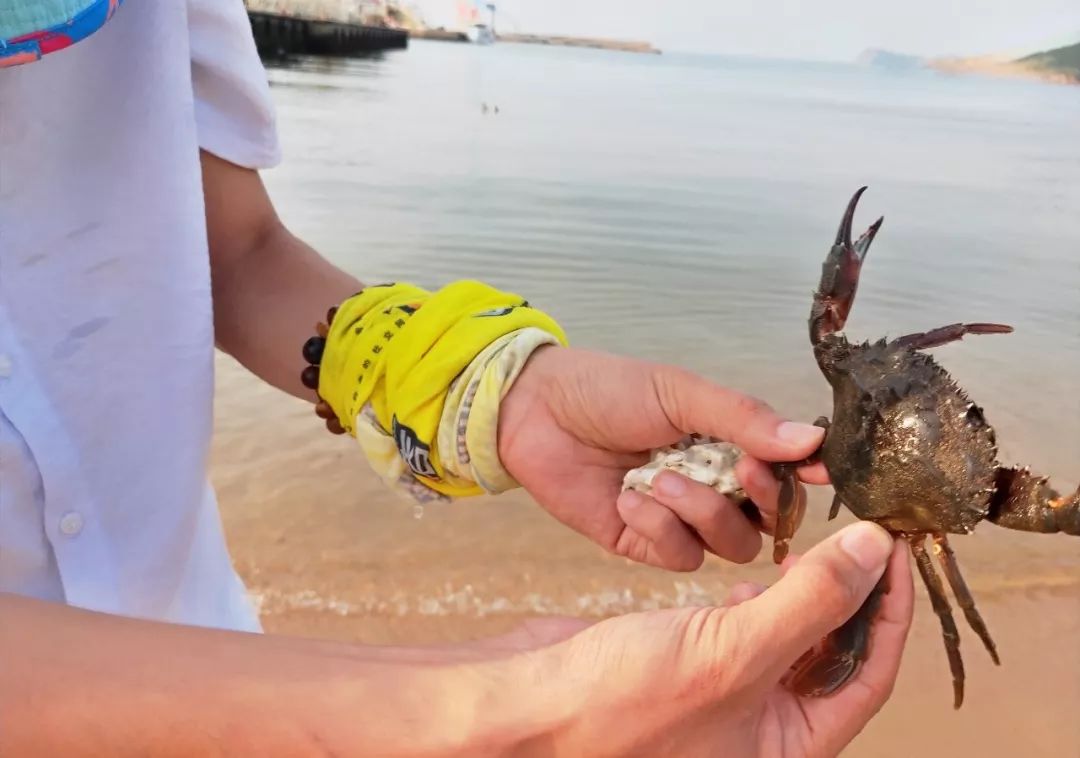 五一台州海岛,五一天气好的海岛推荐