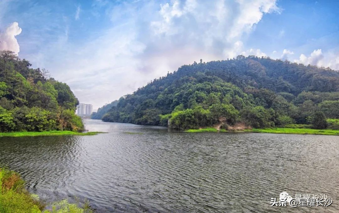 爆品来了完整版,博才学校8字头房价