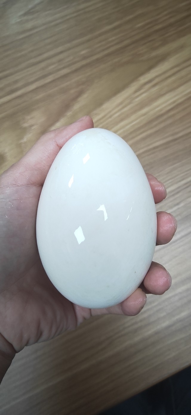 从传销出来后的经历,陷入传销的真实案例