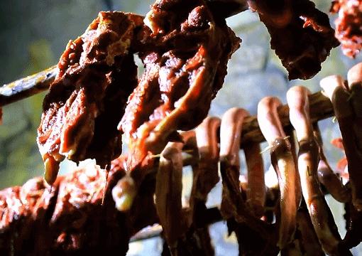 涓嶈兘鍘诲鍦扮殑鐞嗙敱,浜旂浜轰笉鑳藉幓鐤嗗唴鏃呮父