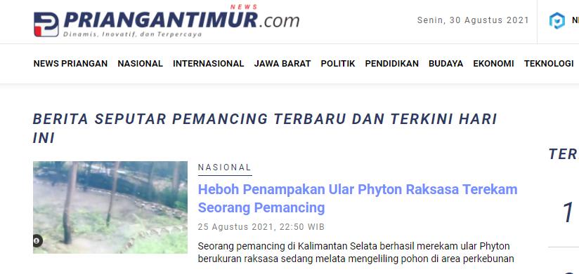 世界上真的存在巨蟒蛇吗,比500米巨蟒还厉害的蛇