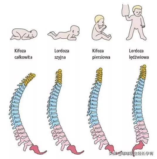 宝宝几个月竖着抱不伤脊椎,宝宝就爱竖着抱