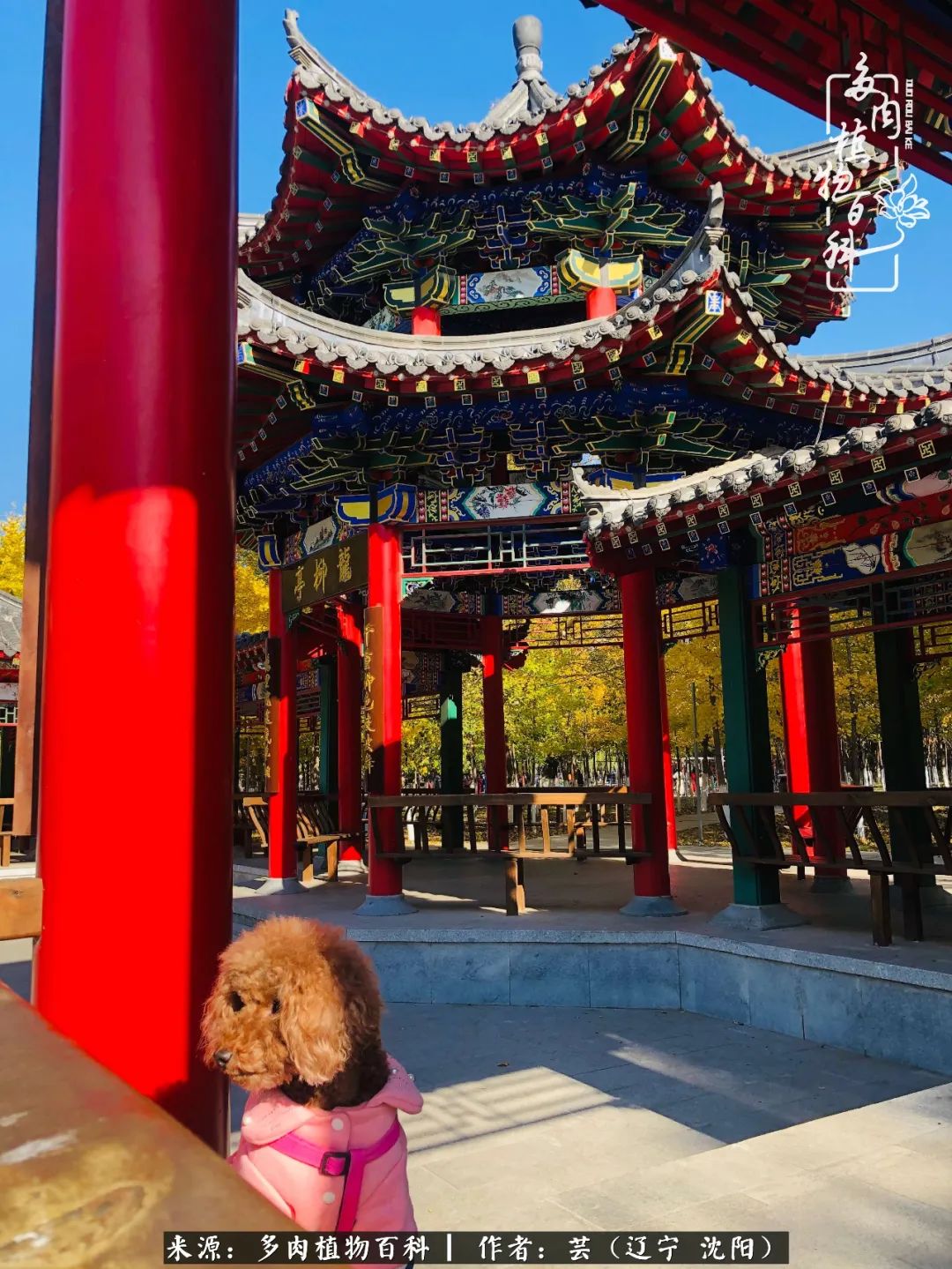 万物皆有灵性有因必有果,万物皆有灵性与生命