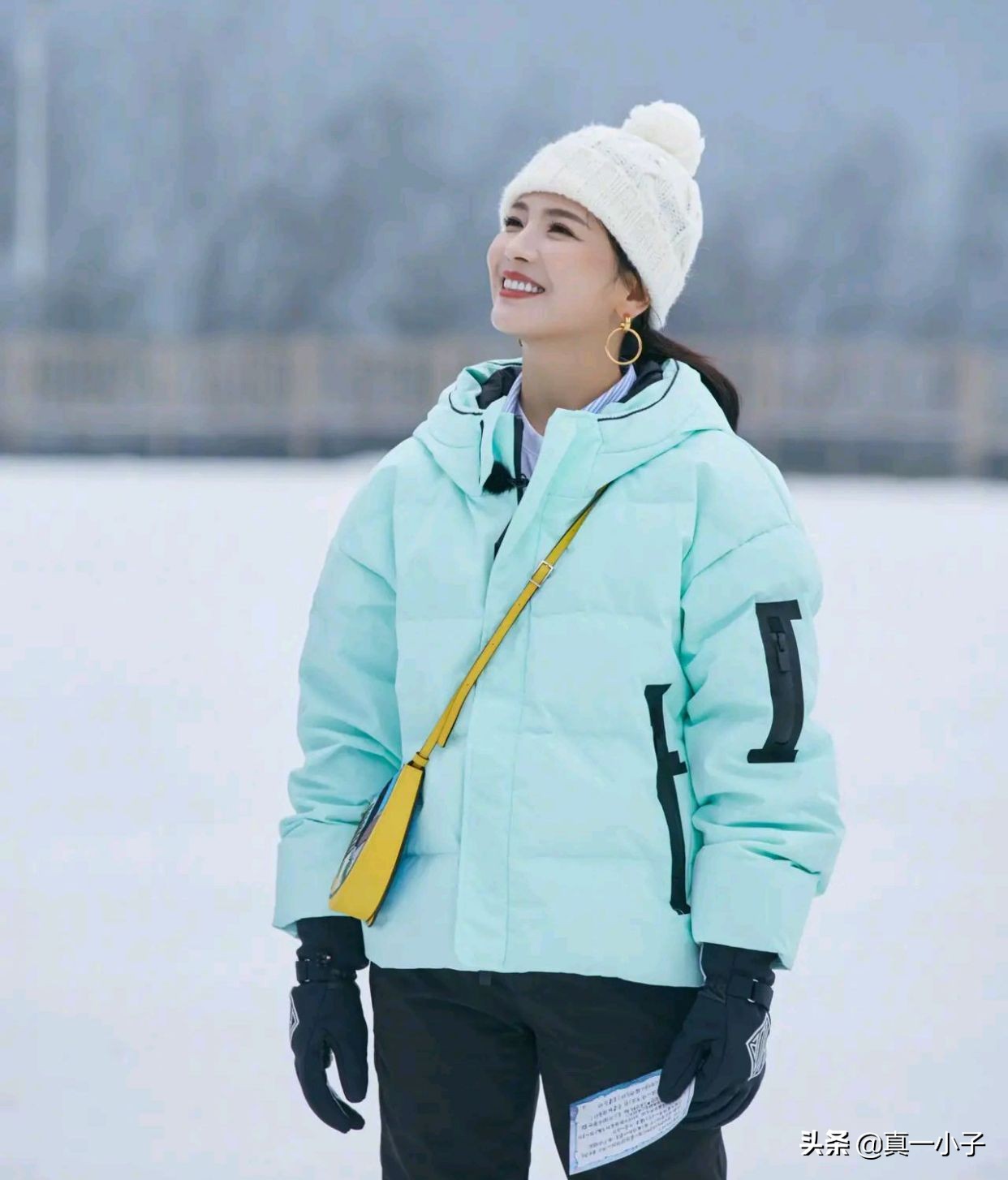 刘涛类型的女明星,刘涛堪称娱乐圈最成功女艺人