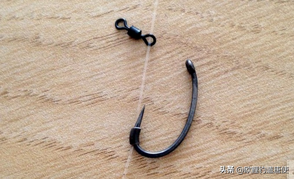 欧鲤钓钓组篇,欧鲤钓组和飞德钓组