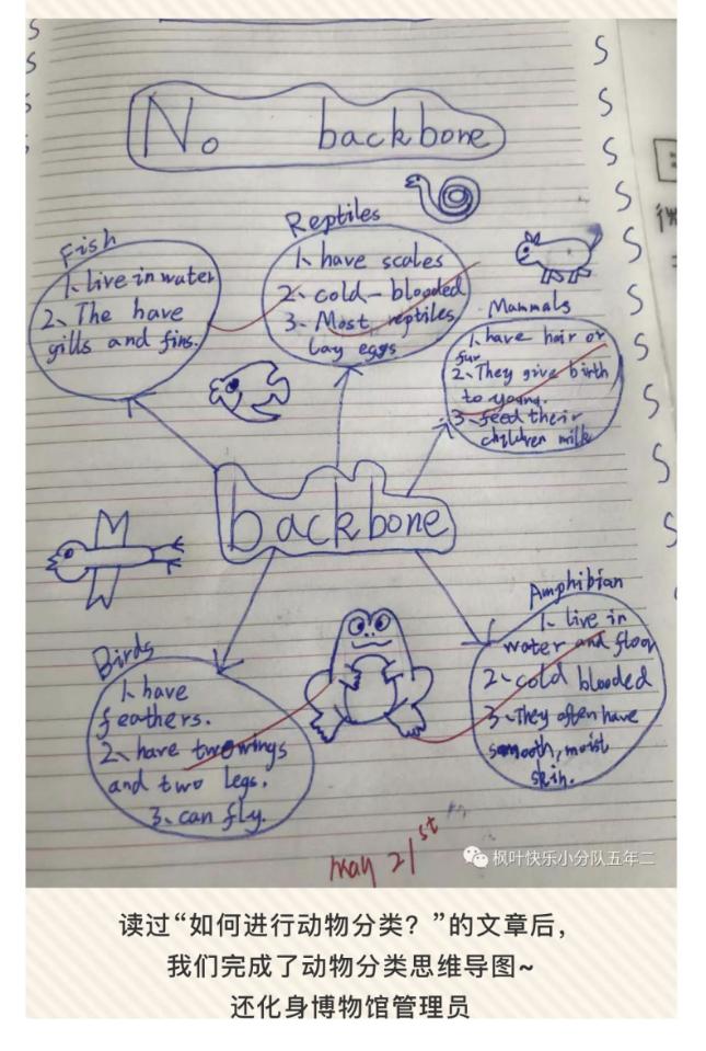 怎样提高班级学生的英语,如何改良班级氛围英语作文